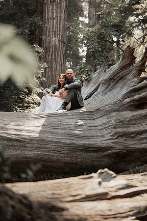 Gray-Ericka-Brookings-elopement-67