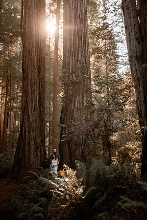 Gray-Ericka-Brookings-elopement-117