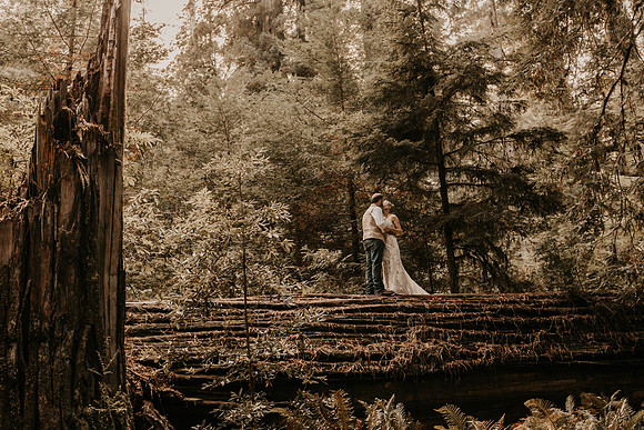 Lee-Tamara-Capella-By-the-Sea-Brookings-Redwoods-Elopement-Photos-Oregon (173 of 267)