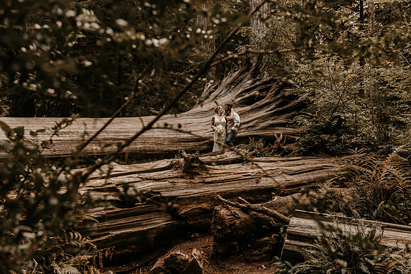 Lee-Tamara-Capella-By-the-Sea-Brookings-Redwoods-Elopement-Photos-Oregon (149 of 267)