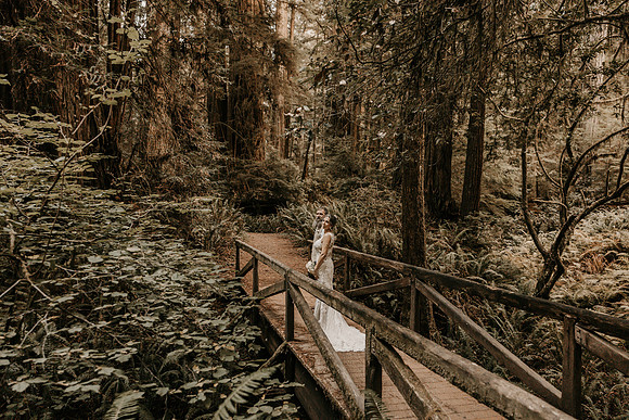 Lee-Tamara-Capella-By-the-Sea-Brookings-Redwoods-Elopement-Photos-Oregon (155 of 267)