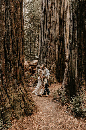 Lee-Tamara-Capella-By-the-Sea-Brookings-Redwoods-Elopement-Photos-Oregon (161 of 267)