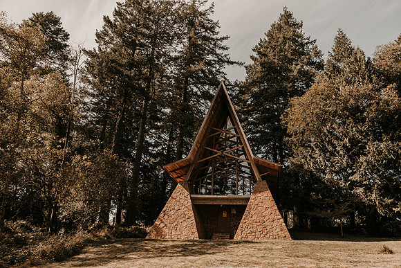 Lee-Tamara-Capella-By-the-Sea-Brookings-Redwoods-Elopement-Photos-Oregon (35 of 267)