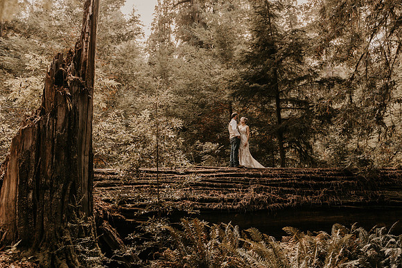 Lee-Tamara-Capella-By-the-Sea-Brookings-Redwoods-Elopement-Photos-Oregon (171 of 267)