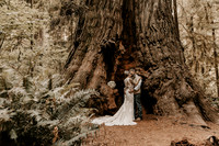 Lee-Tamara-Capella-By-the-Sea-Brookings-Redwoods-Elopement-Photos-Oregon (151 of 267)