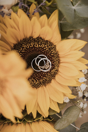 Henry-Skylynn-Rockaway-beach-Oregon-Elopement-Photos (50 of 282)