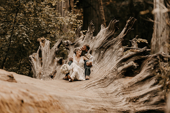 Lee-Tamara-Capella-By-the-Sea-Brookings-Redwoods-Elopement-Photos-Oregon (256 of 267)