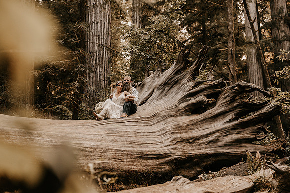 Lee-Tamara-Capella-By-the-Sea-Brookings-Redwoods-Elopement-Photos-Oregon (143 of 267)