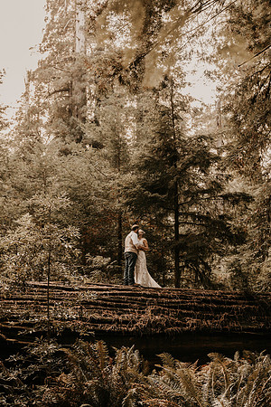 Lee-Tamara-Capella-By-the-Sea-Brookings-Redwoods-Elopement-Photos-Oregon (172 of 267)