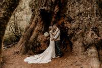 Lee-Tamara-Capella-By-the-Sea-Brookings-Redwoods-Elopement-Photos-Oregon (150 of 267)