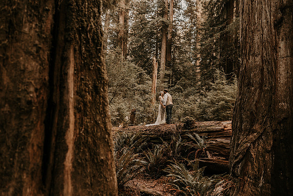 Lee-Tamara-Capella-By-the-Sea-Brookings-Redwoods-Elopement-Photos-Oregon (170 of 267)