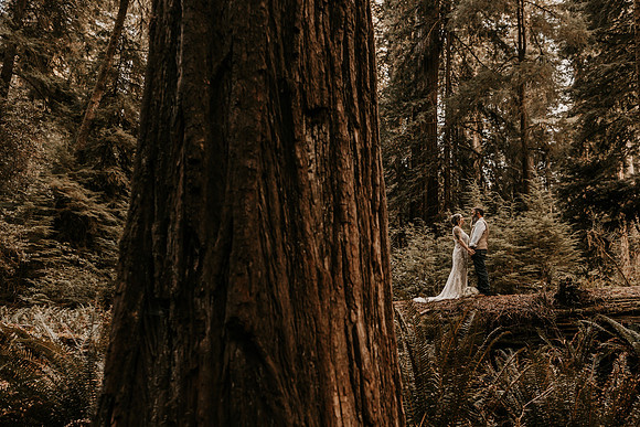 Lee-Tamara-Capella-By-the-Sea-Brookings-Redwoods-Elopement-Photos-Oregon (168 of 267)