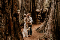 Lee-Tamara-Capella-By-the-Sea-Brookings-Redwoods-Elopement-Photos-Oregon (164 of 267)