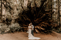 Lee-Tamara-Capella-By-the-Sea-Brookings-Redwoods-Elopement-Photos-Oregon (131 of 267)