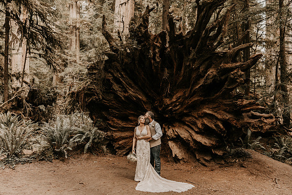 Lee-Tamara-Capella-By-the-Sea-Brookings-Redwoods-Elopement-Photos-Oregon (131 of 267)