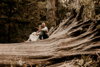 Lee-Tamara-Capella-By-the-Sea-Brookings-Redwoods-Elopement-Photos-Oregon (140 of 267)