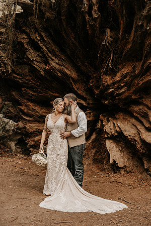 Lee-Tamara-Capella-By-the-Sea-Brookings-Redwoods-Elopement-Photos-Oregon (133 of 267)