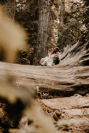 Lee-Tamara-Capella-By-the-Sea-Brookings-Redwoods-Elopement-Photos-Oregon (142 of 267)