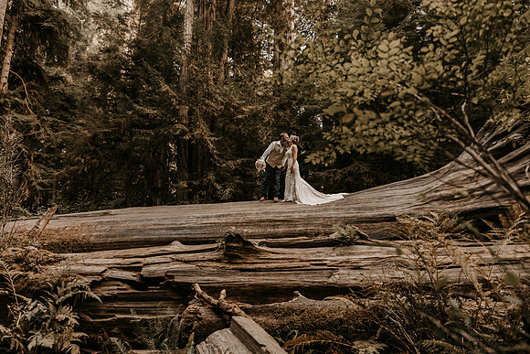 Lee-Tamara-Capella-By-the-Sea-Brookings-Redwoods-Elopement-Photos-Oregon (147 of 267)