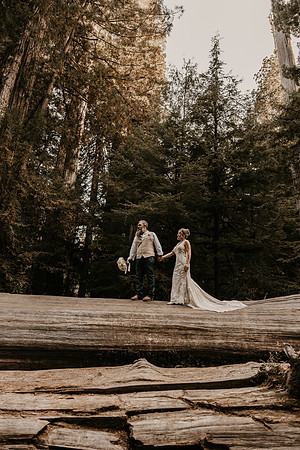 Lee-Tamara-Capella-By-the-Sea-Brookings-Redwoods-Elopement-Photos-Oregon (145 of 267)