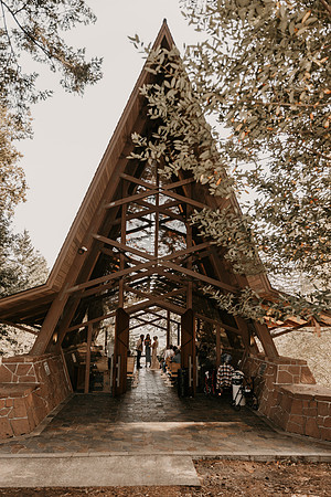 Lee-Tamara-Capella-By-the-Sea-Brookings-Redwoods-Elopement-Photos-Oregon (47 of 267)