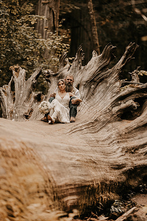 Lee-Tamara-Capella-By-the-Sea-Brookings-Redwoods-Elopement-Photos-Oregon (254 of 267)