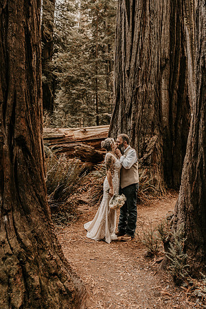 Lee-Tamara-Capella-By-the-Sea-Brookings-Redwoods-Elopement-Photos-Oregon (165 of 267)