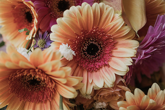 Derrick-Kenzie-Navarra-Gardens-Willamina-Oregon-Wedding-Photos (33 of 436)