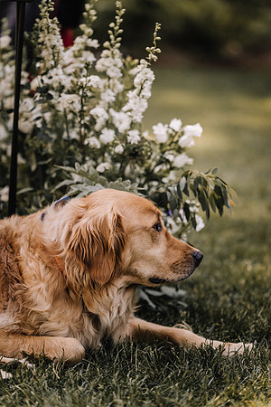 Jared-Ashley-Crooks-Point-Secret-Beach-Oregon-Wedding-53