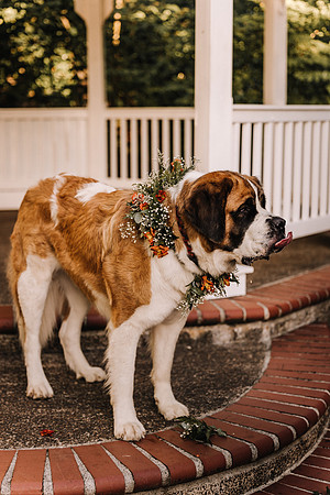 Abernethy-Oregon-Wedding-Venue-Styled-Shoot-Kreative-Memories-Photography-29