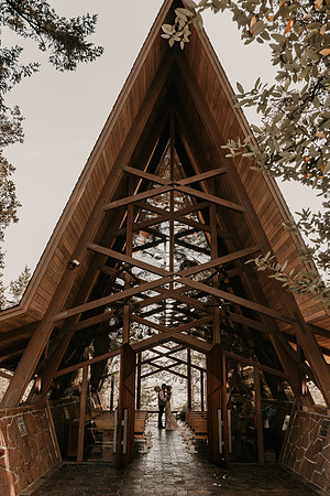 Lee-Tamara-Capella-By-the-Sea-Brookings-Redwoods-Elopement-Photos-Oregon (86 of 267)