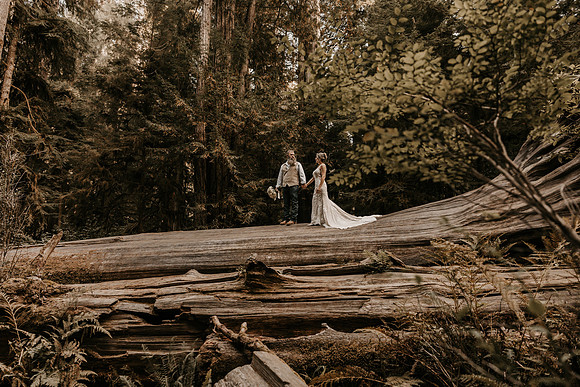 Lee-Tamara-Capella-By-the-Sea-Brookings-Redwoods-Elopement-Photos-Oregon (146 of 267)