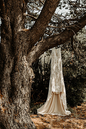 Lee-Tamara-Capella-By-the-Sea-Brookings-Redwoods-Elopement-Photos-Oregon (5 of 267)