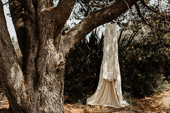 Lee-Tamara-Capella-By-the-Sea-Brookings-Redwoods-Elopement-Photos-Oregon (4 of 267)