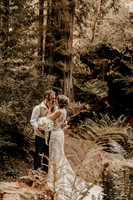 Lee-Tamara-Capella-By-the-Sea-Brookings-Redwoods-Elopement-Photos-Oregon (136 of 267)
