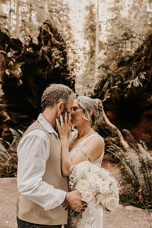 Lee-Tamara-Capella-By-the-Sea-Brookings-Redwoods-Elopement-Photos-Oregon (139 of 267)