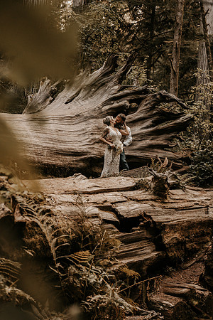 Lee-Tamara-Capella-By-the-Sea-Brookings-Redwoods-Elopement-Photos-Oregon (148 of 267)