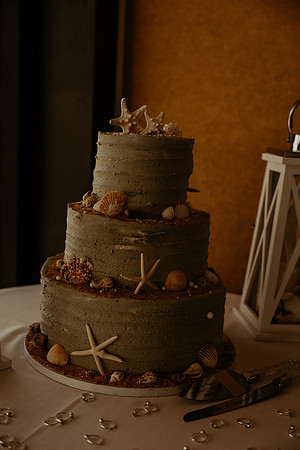 Ellyn-Clayton-Inn-at-Spanish-Head-Wedding (180 of 254)