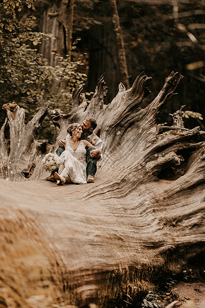Lee-Tamara-Capella-By-the-Sea-Brookings-Redwoods-Elopement-Photos-Oregon (255 of 267)