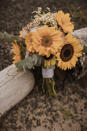 Henry-Skylynn-Rockaway-beach-Oregon-Elopement-Photos (56 of 282)