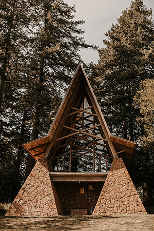 Lee-Tamara-Capella-By-the-Sea-Brookings-Redwoods-Elopement-Photos-Oregon (36 of 267)