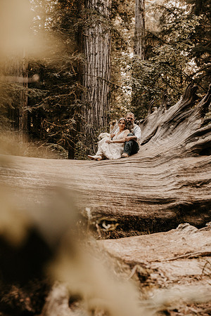 Lee-Tamara-Capella-By-the-Sea-Brookings-Redwoods-Elopement-Photos-Oregon (141 of 267)