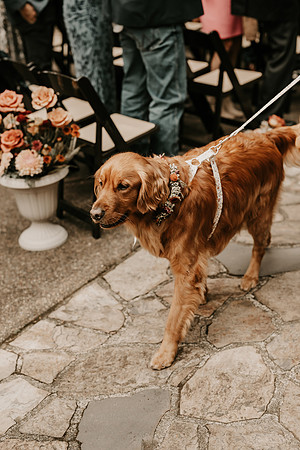 Kyle-Taylor-Salishan-Oregon-Coast-Golf-Course-Beach-Wedding (83 of 101)