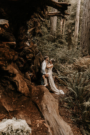 Lee-Tamara-Capella-By-the-Sea-Brookings-Redwoods-Elopement-Photos-Oregon (181 of 267)
