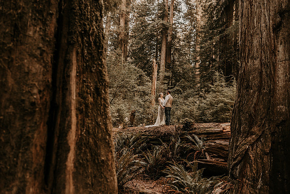Lee-Tamara-Capella-By-the-Sea-Brookings-Redwoods-Elopement-Photos-Oregon (169 of 267)