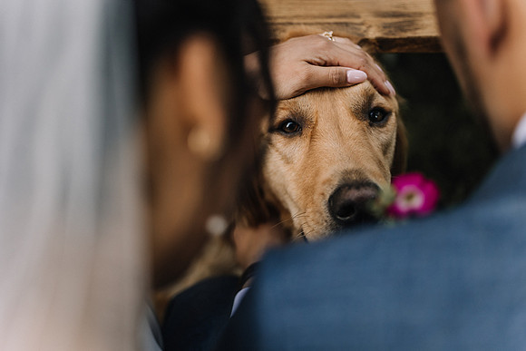 Jared-Ashley-Crooks-Point-Secret-Beach-Oregon-Wedding-63