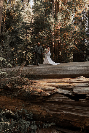 Gray-Ericka-Brookings-elopement-300 (4)