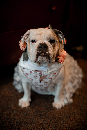 Jeff-Theresa-Brown-Wedding-Photos-25