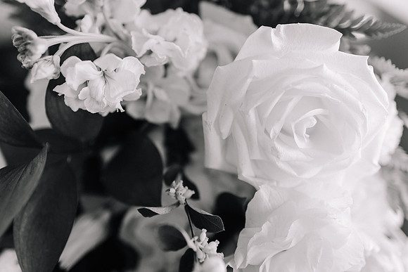 Dylan-Caitlin-Aurora-Colony-Winery-Wedding-2023-Oregon-26