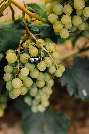 Dylan-Caitlin-Aurora-Colony-Winery-Wedding-2023-Oregon-38